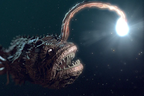 [ẢNH] Những sinh vật "đặc dị" nhất dưới đáy đại dương