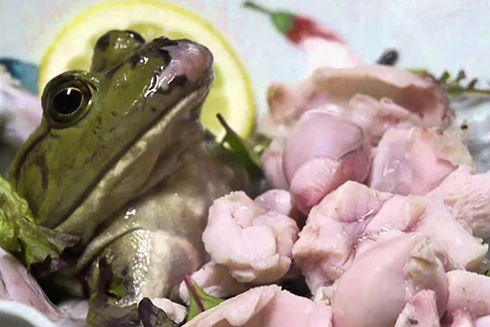 [ẢNH] Rợn người với 9 món ăn "kinh dị" bậc nhất thế giới