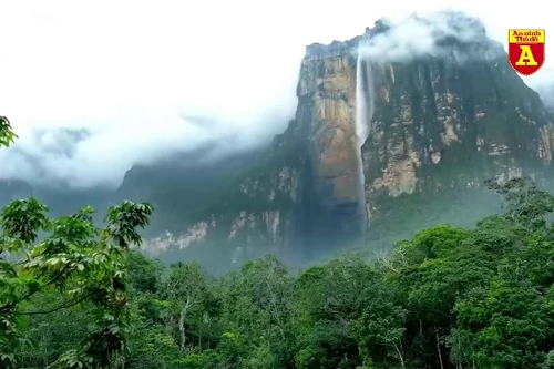 Khám phá thác nước cao nhất thế giới