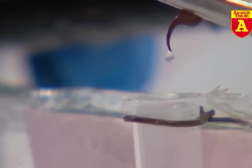 Chất lỏng đắt nhất hành tinh có giá hơn 10 triệu USD/lít