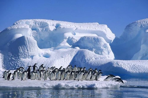 Những hoang mạc và sa mạc lớn nhất thế giới