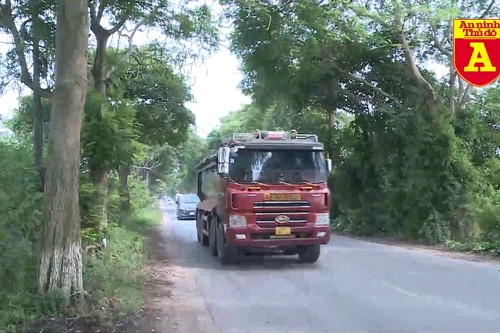 Tăng cường xử lý phương tiện chở quá khổ quá tải