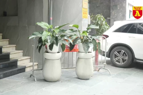 Nhiều tòa nhà, cơ sở kinh doanh ở Cầu Giấy vẫn hoạt động dù bị đình chỉ do vi phạm PCCC