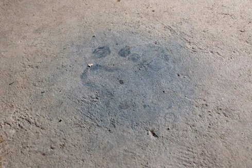 Thảm án tại Quảng Ninh: Phát hiện hàng loạt dấu tay, chân nghi của kẻ sát hại 4 bà cháu