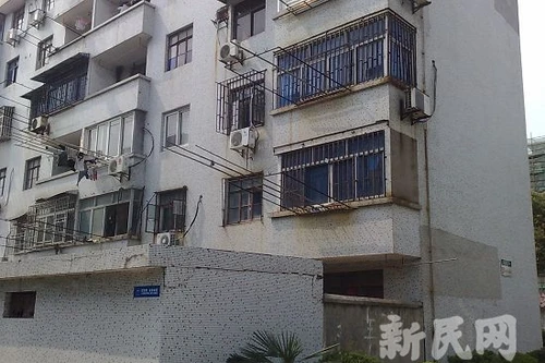 Tự tử, để lại di thư cho... chó