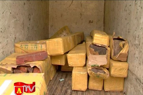 Bị phát hiện chở gỗ lậu, hối lộ CSGT xin bỏ qua