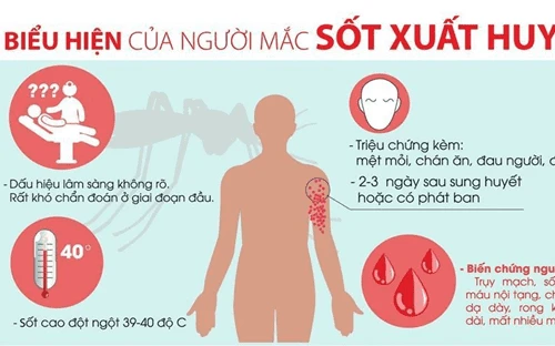 Sai lầm khi chữa sốt xuất huyết tại nhà khiến bệnh càng nặng 