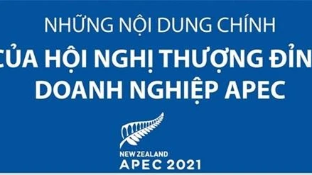 Chủ tịch nước Nguyễn Xuân Phúc dự Hội nghị thượng đỉnh doanh nghiệp APEC 2021: Phát triển bền vững ứng phó biến đổi khí hậu là trách nhiệm của quốc tế, Nhà nước và doanh nghiệp 