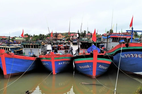 Bám sát diễn biến bão lũ để dự báo chính xác và chỉ đạo ứng phó với thiên tai 