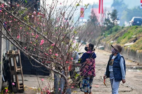 Đào Nhật Tân xuống phố 