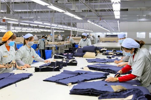 Việt Nam tích cực tham gia tạo xung lực cho phục hồi kinh tế trong APEC