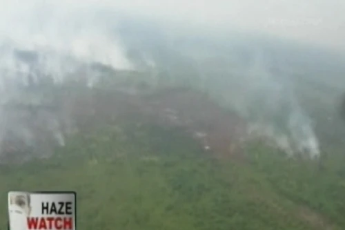 Tổng thống Indonesia xin lỗi các nước láng giềng vì cháy rừng