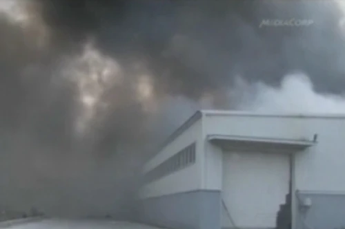 Cháy nhà máy chế biến gia cầm ở Trung Quốc, 120 người chết