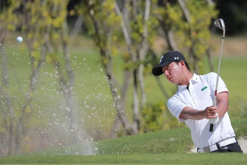 Chuỗi giải golf nghiệp dư hấp dẫn nhất Việt Nam sắp khởi tranh