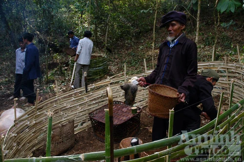 Ngả nghiêng sau “đại tiệc” trả ơn rừng thiêng