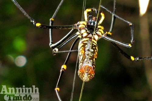  Mắt thần của núi