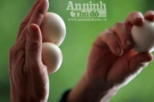 Xem linh vật của Đại hội thể thao châu Á 