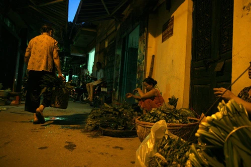 Nghề "đổi” lá cây lấy tiền mặt