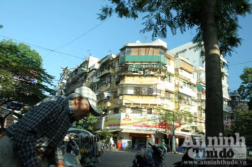 “Lạc đà” khắp phố đông