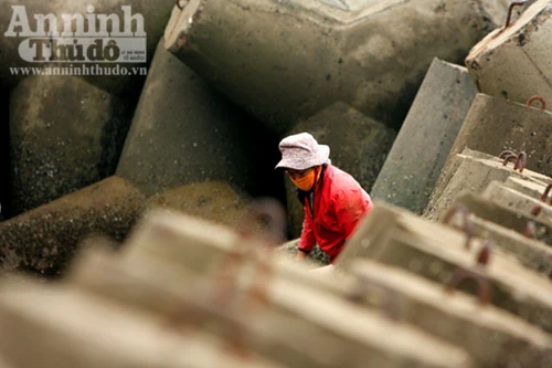 Mưu sinh trên vùng biển lạnh