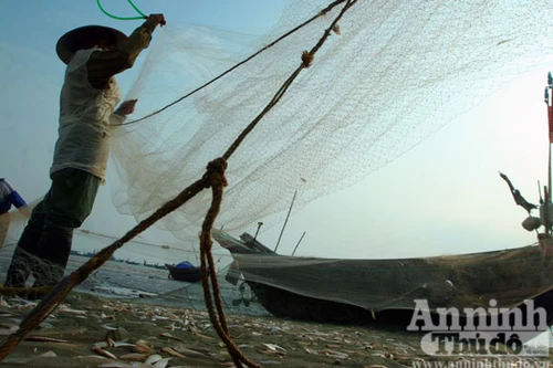 Mắt thần kỳ diệu của ngư dân biển cả