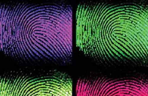 Trắc nghiệm vân tay xác định tư chất bẩm sinh ở trẻ