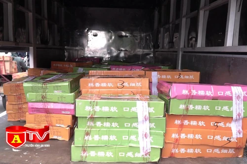 Tạm giữ gần 11.000 bánh Trung thu không rõ nguồn gốc, giá chỉ 2.500 đồng/chiếc