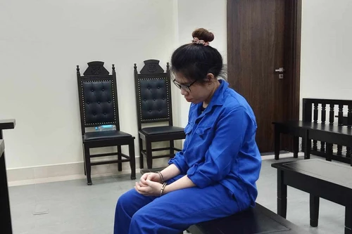 Mê game bắn cá, người đàn bà lừa đảo bằng mánh góp vốn kinh doanh