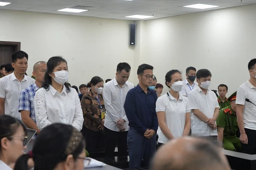 Các bị cáo trong vụ “thổi giá” cây xanh gây thiệt hại hàng chục tỉ đồng lĩnh án