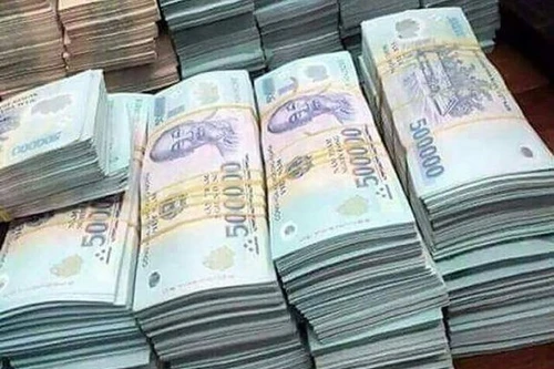 Người đàn bà sử dụng "doanh nghiệp giả" chiếm đoạt tiền của hàng trăm cá nhân 