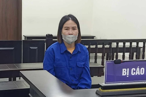 Dụ góp vốn buôn mỹ phẩm lợi nhuận cao để chiếm đoạt hơn 12 tỷ đồng