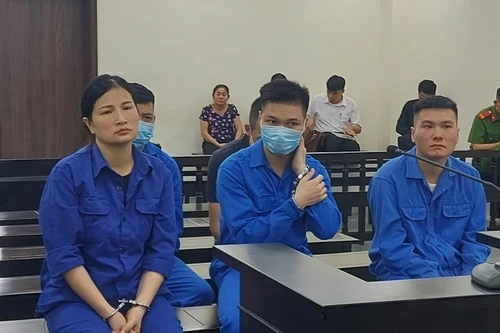 Nhân viên hàng không tiếp tay tội phạm buôn lậu ngà voi, sừng tê giác