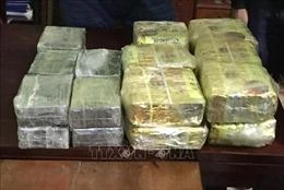 Lái xe taxi cất giấu ma túy tinh vi vẫn không thoát