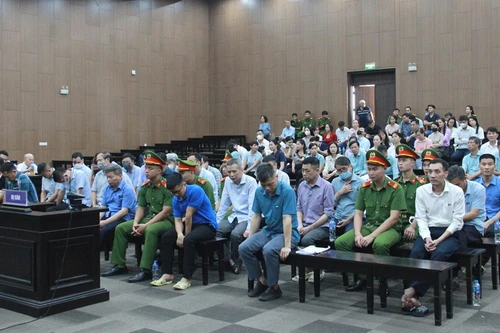 Các luật sư bảo vệ thân chủ trong vụ án Tập đoàn Thuận An 