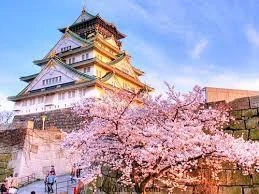 Nhiều gia đình đi du lịch nước ngoài “trúng mánh” kẻ lừa đảo