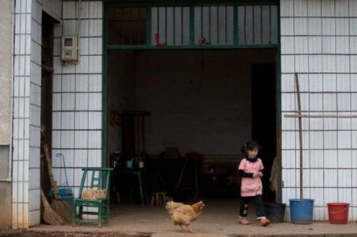 Vụ ngộ độc thuốc trừ sâu gây chấn động Trung Quốc