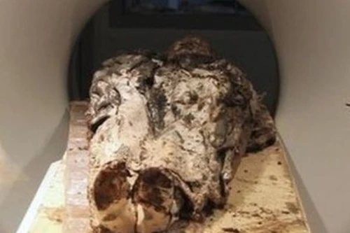 Pháp nghiên cứu cơ thể một nữ quý tộc... 359 tuổi