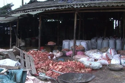 Thực phẩm bẩn – Nỗi lo dịp tết