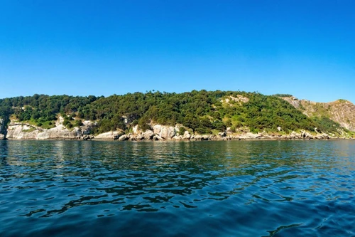 Hòn đảo tuyệt đẹp, không ai dám đến vì đầy rắn kịch độc