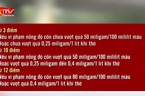 Chi tiết các mức trừ điểm giấy phép lái xe do vi phạm nồng độ cồn 