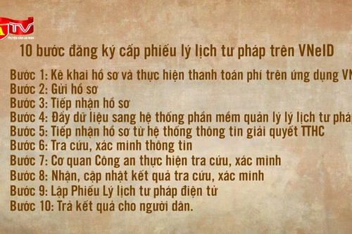 Chi tiết cách đăng ký cấp phiếu lý lịch tư pháp trên VNeID từ tháng 10/2024