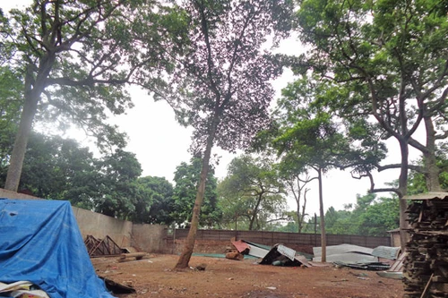 Đã di dời xưởng cưa ra khỏi chùa Trăm Gian