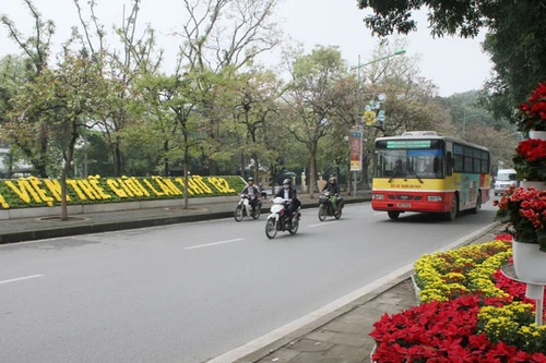 Dọn “nhà” đón khách