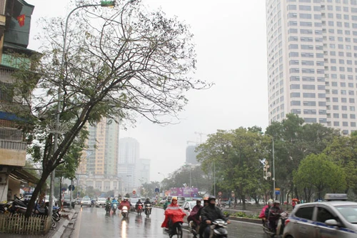 Đồng bộ cây xanh tạo nên những tuyến phố văn minh