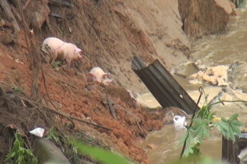 Lũ đổ về bất ngờ cuốn trôi nhà dân