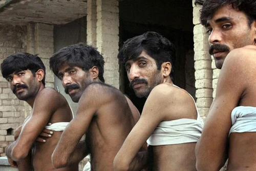 Chặn thị trường buôn nội tạng người