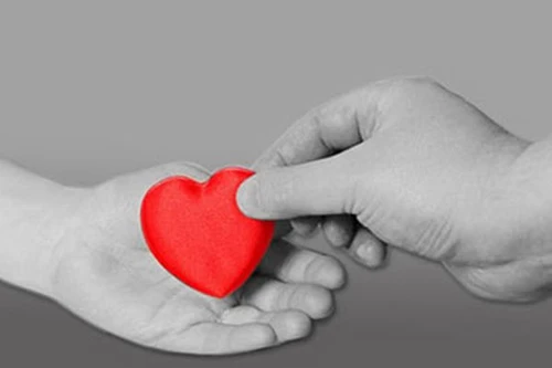 Hoa gì không úa tàn?