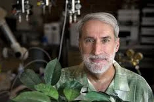 Dùng vi khuẩn chuyển hóa năng lượng Mặt trời thành nhiên liệu lỏng 