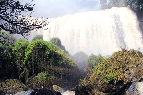 Đến Lâm Hà xem “voi tắm thác”