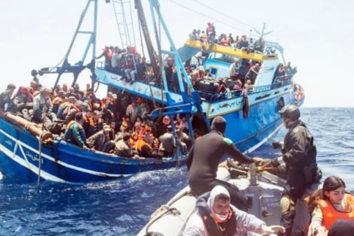 Hàng trăm người di cư bất hợp pháp đã bị giết, bị bán, mổ lấy nội tạng?